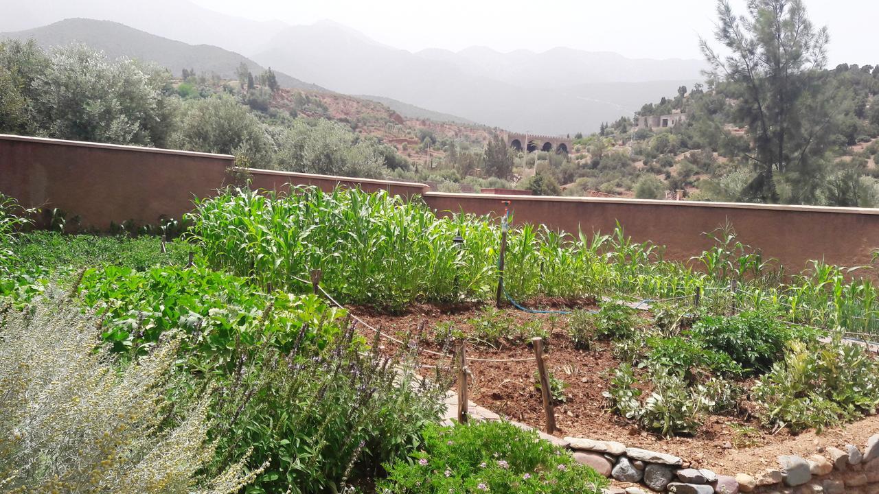 Ouirgane Ecolodge Dış mekan fotoğraf