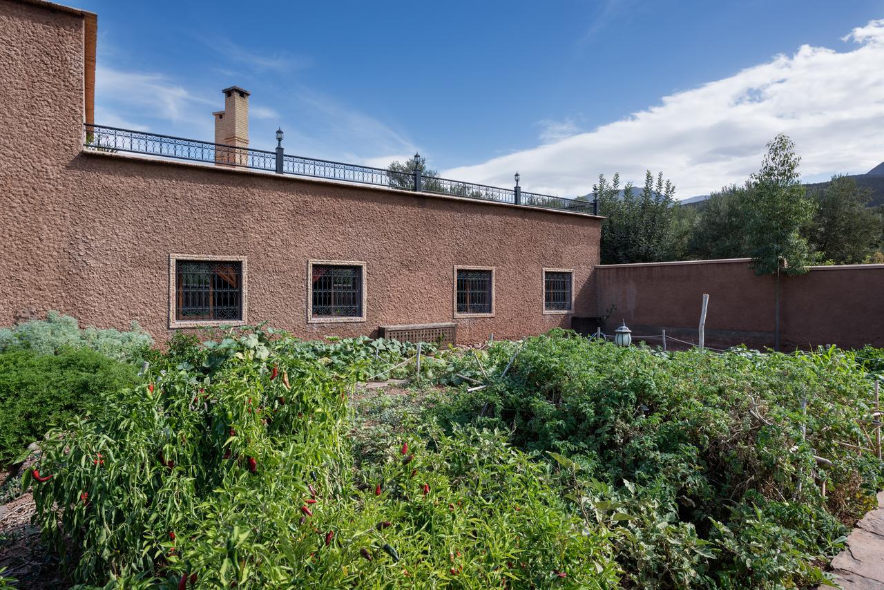 Ouirgane Ecolodge Dış mekan fotoğraf